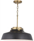 Oakwood 1-Light Pendant Matte Black