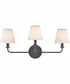 Hoyle 24'' Wide 3-Light Vanity-Light - Matte Black