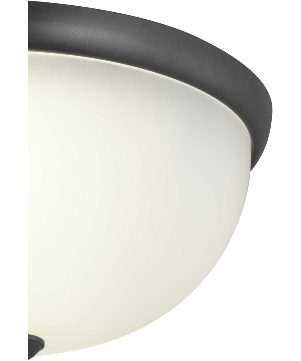 2-Light 14" Glass Dome Flush Mount Graphite