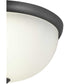 2-Light 14" Glass Dome Flush Mount Graphite