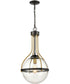 Vispon 1-Light Pendant Matte Black/Burnished Brass/Clear Glass