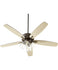 Ceiling Fans and Accessories