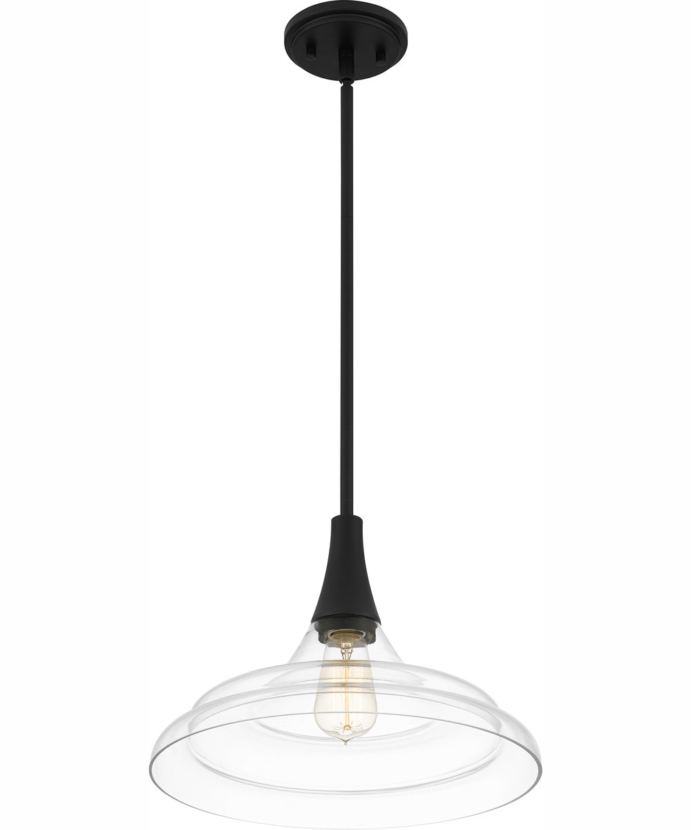 Quoizel Pendant 1-light Pendant Matte Black