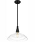 Quoizel Pendant 1-light Pendant Matte Black