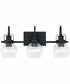 Buxton 3-Light Vanity Matte Black