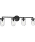 Signal 4-Light Clear Glass Coastal Bath Vanity Light Graphite