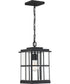 Mulligan Medium 1-light Outdoor Pendant Light Matte Black