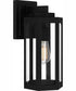 Mesnick Medium 1-light Outdoor Wall Light Matte Black