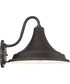 Oceanfront Large 1-light Outdoor Wall Light Palladian Bronze