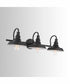 Truitt 3-Light Vanity Old Bronze