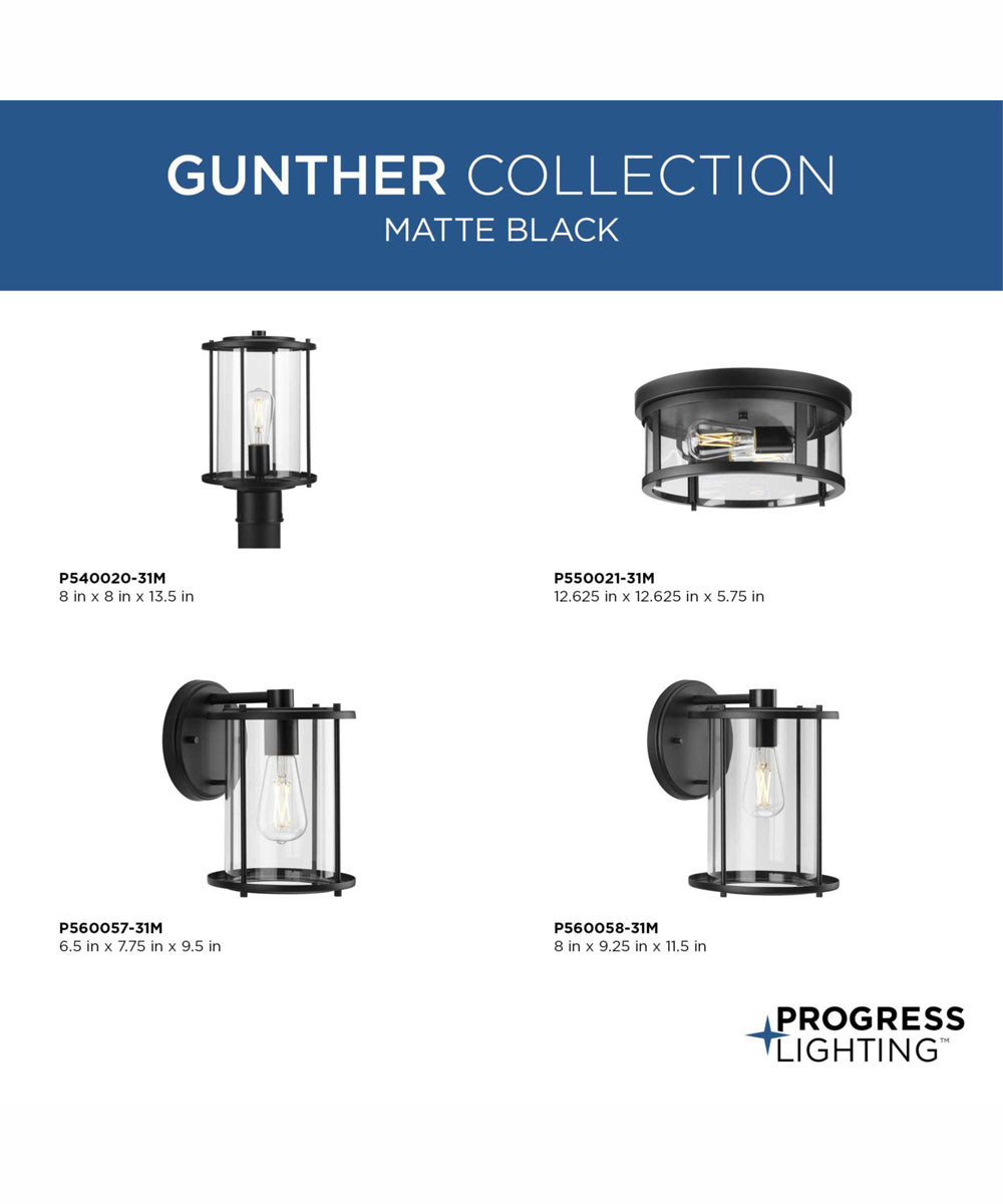 Gunther 1-Light Modern Farmhouse Large Wall Lantern Matte Black