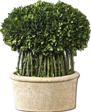 17"H Willow Topiary Botanical Natural Evergreen